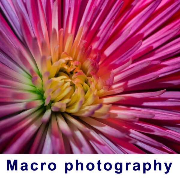macro